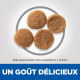 Science Plan Adult Sensitive Stomach & Skin croquettes pour chien au poulet