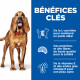Science Plan Mature Adult Light croquettes pour chien âgé au poulet