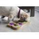 Jouet chien Pop : Jeu classique
