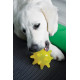 Jouet chien Pop : Crazy Urchin Toy