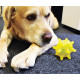 Jouet chien Pop : Crazy Urchin Toy