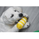 Jouet chien Pop : Dental Toy