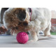 Jouet chien Pop : Ball