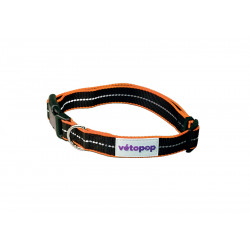 Collier Pop