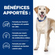Prescription Diet d/d croquettes pour chien au canard et au riz