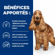 Prescription Diet z/d AB+ croquettes pour chien 