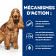 Prescription Diet z/d AB+ croquettes pour chien 