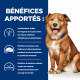Prescription Diet Derm Complete croquettes pour chien