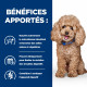 HILL'S Prescription Diet Chien Gastrointestinal Biome Mini Poulet
