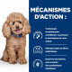 HILL'S Prescription Diet Chien Gastrointestinal Biome Mini Poulet