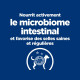 Prescription Diet Biome mijotés pour chien