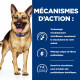 Prescription Diet Biome mijotés pour chien