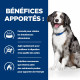 Prescription Diet i/d Sensitive AB+ croquettes pour chien