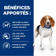 Prescription Diet r/d croquettes pour chien au poulet