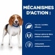 Prescription Diet r/d croquettes pour chien au poulet