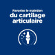 HILL'S Prescription Diet Chat J/D Mobility Poulet