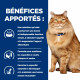 Prescription Diet K/D J/D Kidney + Mobility Poulet croquettes pour chat