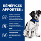 HILL'S Prescription Diet i/d Stress Digestive Mini Croquettes pour petit Chien au Poulet 1 kg
