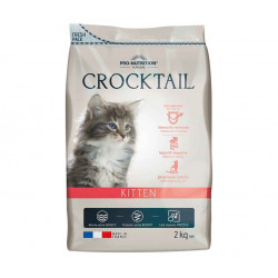 Crocktail Kitten - Chatons