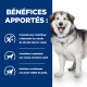 HILL'S Prescription Diet c/d Multicare + Metabolic croquettes pour chien
