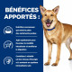 HILL'S Prescription Diet i/d AB+ croquettes pour chien