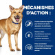 HILL'S Prescription Diet i/d AB+ croquettes pour chien