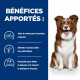 HILL'S Prescription Diet Derm Defense croquettes pour chien au poulet