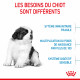 Dog Puppy Giant
