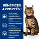 HILL'S Prescription Diet t/d Dental Poulet croquettes pour chat