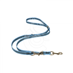 Laisse Difac Color Gomme