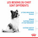 Dog Puppy XSmall