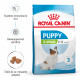 Dog Puppy XSmall