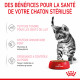 Cat Kitten Royal Canin Emincé en sauce Sachet repas