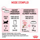 Cat Kitten Royal Canin Emincé en sauce Sachet repas
