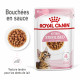 Cat Kitten Royal Canin Emincé en sauce Sachet repas