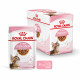Cat Kitten Royal Canin Emincé en sauce Sachet repas