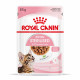 Cat Kitten Royal Canin Emincé en sauce Sachet repas