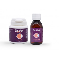 Dr Vet Lacrimalis