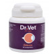 Dr Vet Glauco