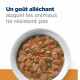 PDIET CN K/D KIDNEY STEW 24X156G