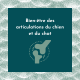 HUILE SAUMON CHANVRE CBD 2% FL. 10 ML