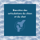HUILE SAUMON CHANVRE CBD 4% FL. 10 ML