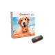 GPS Weenect XS pour chien