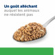 Chien rd Weight Loss Boîte