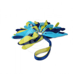 Jouet chien Coachi : Tuggi Spider