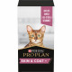 Pro Plan Skin and Coat  Chat