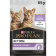 Cat kitten Dinde Sauce Sachet repas