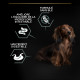 Dog Small&Mini Adult Optidigest Grain Free Dinde