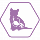 Cat Sterilised Kitten Optistart Saumon