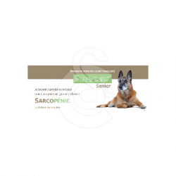 Suppléo Senior Sarcopénie Grand chien